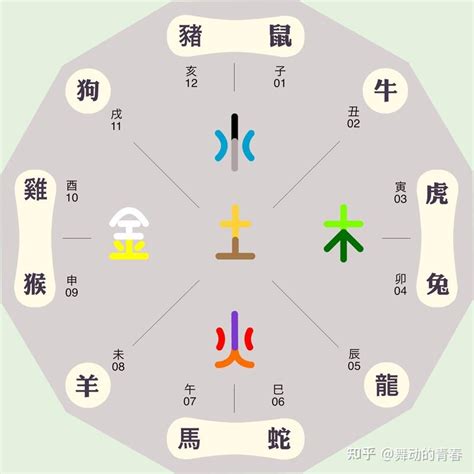 生肖屬龍 五行